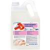interchem italia srl Sapone Liquido Igienizzante Per Mani Profumato 5 Litri Detergente Uso Quotidiano
