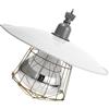 Lampada Riscaldante Lampade Riscaldanti Per Animali Chioccia Pulcini