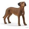 SCHLEICH RHODESIAN RIDGEBACK CANE -13895