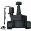 Rain Elettrovalvola a Solenoide Serie 100 Volt 24 1"1/4F Rain