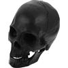 Teschio Realistico Halloween Addobbi Cranio Umano Decorazioni Di