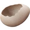 Ciotola di modellazione di gusci per uova rotta vaso idroponico ceramico