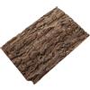 Terrarium Cork Bark Background Board Board Rettile Talbero Decor in sughero per