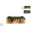 DUESSE P/CANDELE LEGNO C/PIGNE E BACCHE