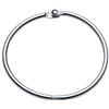 Charles Leonard Loose Leaf Rings Diametro 6,3 cm (2,5) 25/Box Silver