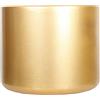 Vaso da fiori per Capodanno cinese Vaso da fiori per Capodanno cinese per