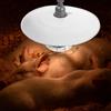 Lampada Riscaldante Per Pulcini Lampade Riscaldanti Rettili Animale