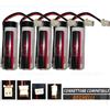 EVE 5 pile batterie 3,6V 2,7Ah allarme INTELLIGENT BEGHELLI 8131 rilevatore infrared