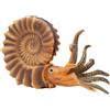 Bullyland 3B Scientific W12400 Ammonite Modello
