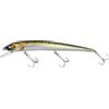 Molix Audace Evo 130SS Real Sarda Molix
