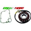 BERGAMASCHI STATORE VOLANO + GUARNIZIONE KYMCO PEOPLE GTI 300 2010 2011 0140