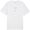 PUMA PL Graphic Tee 2 Magliette Uomo (Pacco da 1)