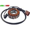 RMS STATORE Malaguti Madison 3 250 2006 -