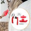 Kit per la toelettatura del cavallo da 6 pezzi, set di spazzole per cavalli