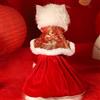 Costumi per cani di Capodanno per feste a tema Capodanno cinese