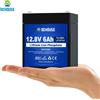 DCHOUSE Batteria LiFePO4 12V/24V/48V 6Ah 24Ah 100Ah 200Ah Batteria al litio BMS per RV