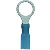 CONNECT 30199 Colore Blu Tubo termorestringente Anello, 10,5 mm, Set di 25