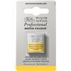 Winsor & Newton Professional - Vernici ad acquerello, vivaci e resistenti alla luce, pigmenti per artisti, 1/2 GODET, colore: Giallo Winsor Scuro