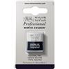 Winsor & Newton Professional - Vernici ad acquerello, vivaci e resistenti alla luce, pigmenti per artisti, 1/2 GODET, colore: Tinta Neutra