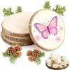 4 Dischi in Legno Naturale Da 20-23 Cm, Dischi Legno Spessore 1,5 Cm Con Cortecc