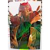Iron Man 120 (5) Villain Variant Alex Ross - Panini Comics - A20