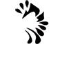 Eulenspiegel - 109014 - Stencil per il disegno degli occhi, base, modello per pittura del viso, adatto per trucco professionale acquatico, trucco liquido, tatuaggi glitterati