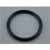 Astralpool 4403010304 O'ring per faro proiettore Astralpool D.110X11mm