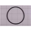 Astralpool O-ring coperchio prefiltro pompa Astral Victoria, Verdon, Glass Plus D 151,7X6,9