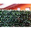 Retelandia l'outlet delle recinzioni Siepe Finta Artificiale Foglia Photinia Sintetica - 4 moduli cm 100X100 = 4 m2