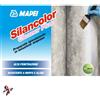 MAPEI ANTIMUFFA IGIENIZZANTE MUFFA STERMINATORE SILANCOLOR CLEANER PLUS MAPEI 2KG