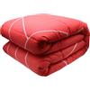 Gabel Trapunta invernale Matrimoniale Double face Cotone Corallo Gabel Cheerful