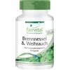 Fairvital Ortica e incenso con yucca, 90 capsule per intestino e articolazioni | fairvital
