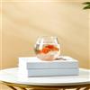 Fish Bowl Acquario Acquario Desktop Pietre Albero Ornamento Vaso di Pesci