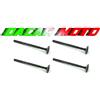 TNT KIT VALVOLE DI ASPIRAZIONE E SCARICO PER KL BRERA 125 / LONGJIA EASYMAX 125