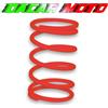 MALOSSI MOLLA CONTRASTO VARIATORE MALOSSI PIAGGIO LIBERTY S 125 4T LEADERM381M 2916460