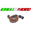 RMS Statore MALAGUTI 250 MADISON RS RST 2004 RMS 246350092