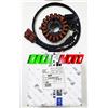 Piaggio Statore MALAGUTI Madison 3 250 2006 2007 2008 2009 ORIGINALE