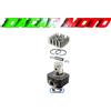 RMS Kit cilindro MAGGIORATO MODIFICA 47 mm VESPA ET2 50 1995 1996 1997 1998 1999