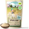 NaturaleBio Bucce di Psillio Biologico 400 g Purezza 99% Psyllium Husk Bio Naturale e Puro