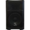 ZZIPP Cassa acustica professionale ZZIPP ZZPK108 diffusore attivo con MP3 e Bluetooth