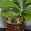 10 Pcs Cancelletti Giardino Cancello Arredamento Esterno Della Casa