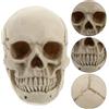 Decorazione di Halloween teschio bambino teschio umano 1 pezzo