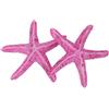 2 Pcs Decorazione Del Serbatoio Di Pesce Ornamento Stelle Marine
