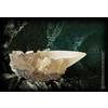 NOBLE COLLECTION Harry Potter Replica Coppa Di Cristallo 18 Cm Noble Collection