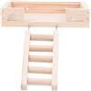 Hamster Standing Board Hamster Gage Plaything Hamster Platform con scaletta da
