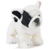 PLUSH & COMPANY CANE BULLDOG FRANCESE PELUCHE 30 CM PLUSH & COMPANY ORIGINALE SOFT TOY
