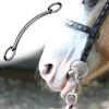 Stainless Steel Bocca Forniture Equitazione Comode Delicate A Cavallo S Bocca Alta Qualit��