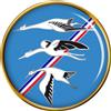 Giftshop UK Escadron De Chasse 2.5-5.1cmCigognes " (Francese Air Force) Spilla