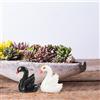 2 pz Mini Cigno Figurine Cigno Decori Cigno Sculture Resina Cigno Micro
