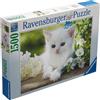 RAVENSBURGER 16243 PUZZLES 1500 GATTINO BIANCO